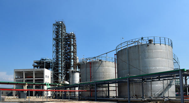 bevictorΰ�¹��� - Τ�¹ٷ���վ