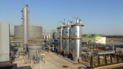 bevictorΰ�¹��� - Τ�¹ٷ���վ